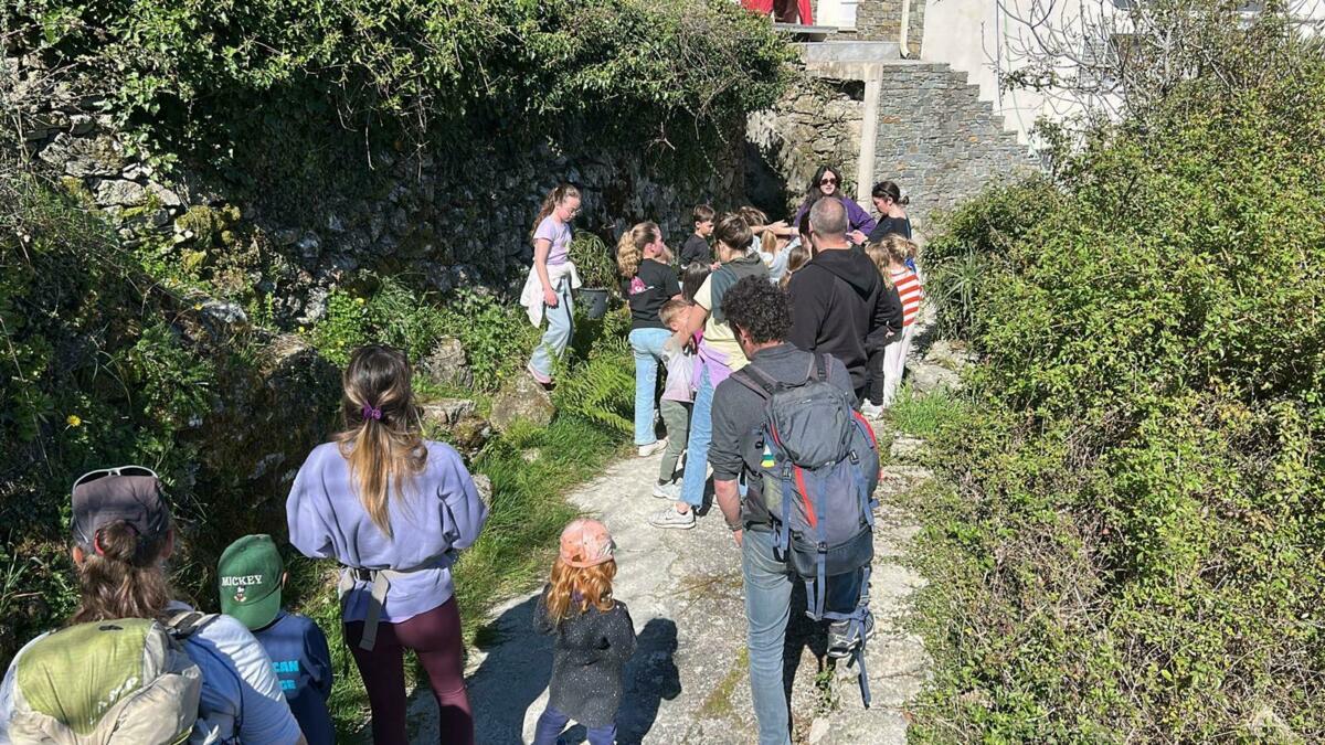 Image de l'actualité