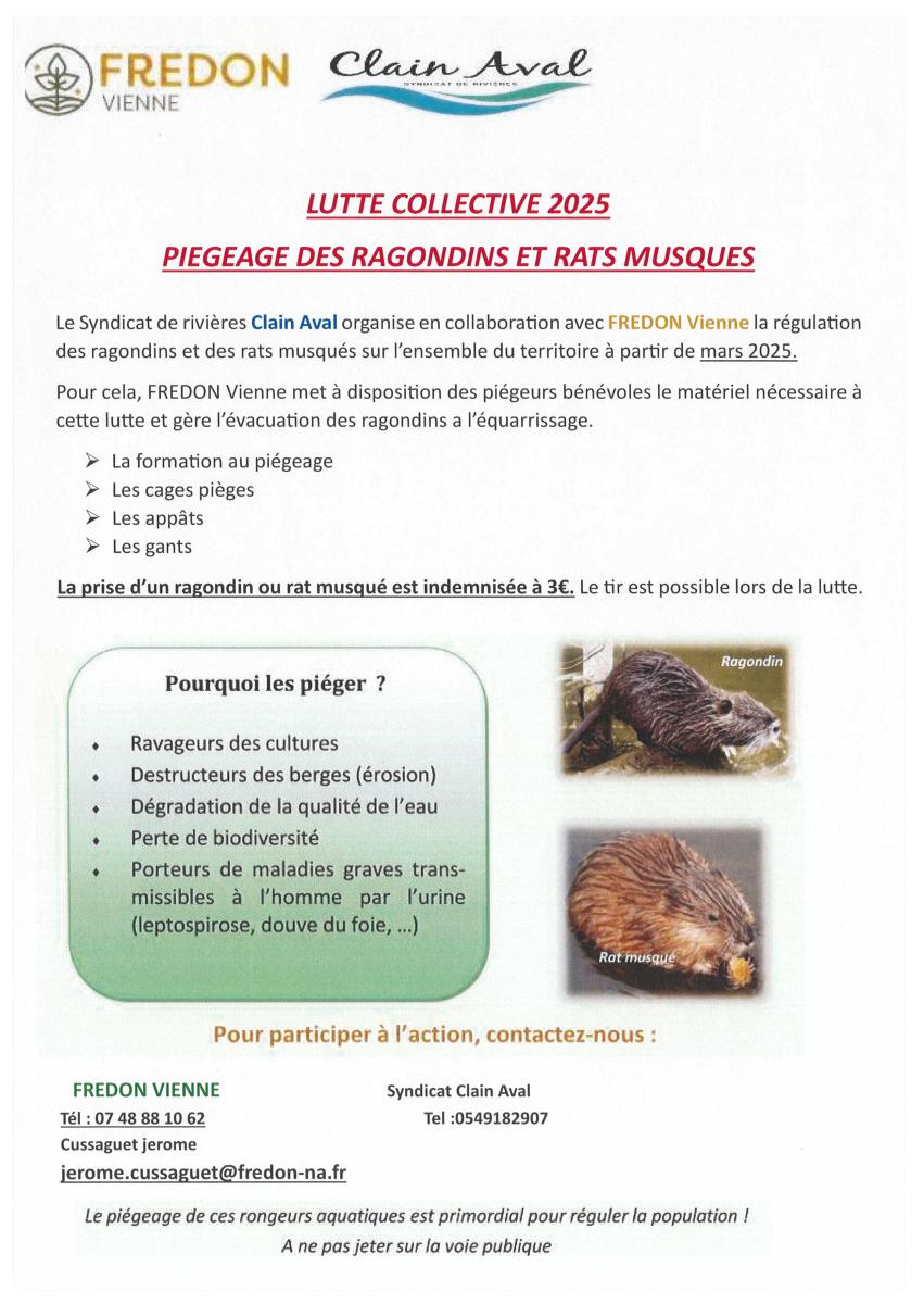 RAGONDINS ET RATS MUSQUES