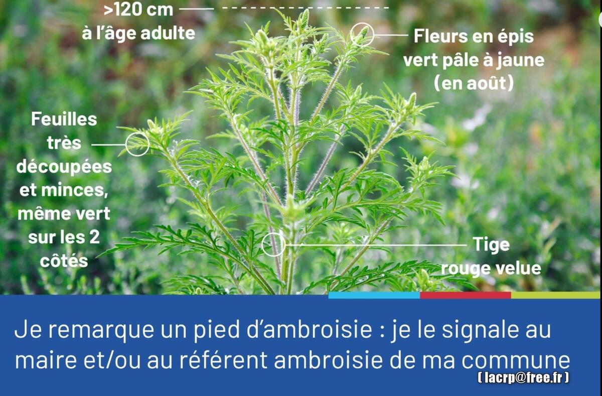 Image de l'actualité