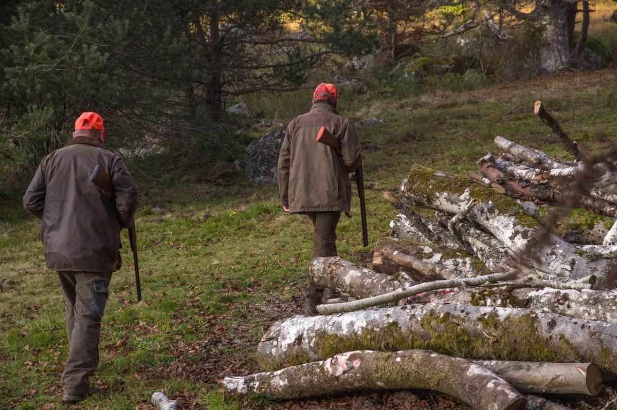 🐾 Période de chasse 2024 - 2025