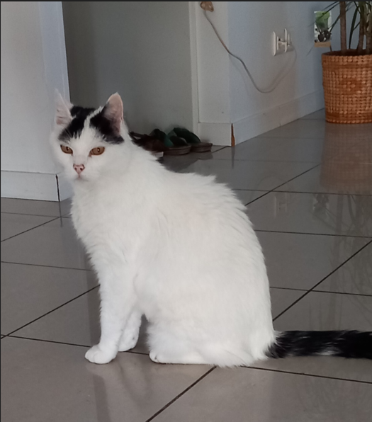 Avis de recherche