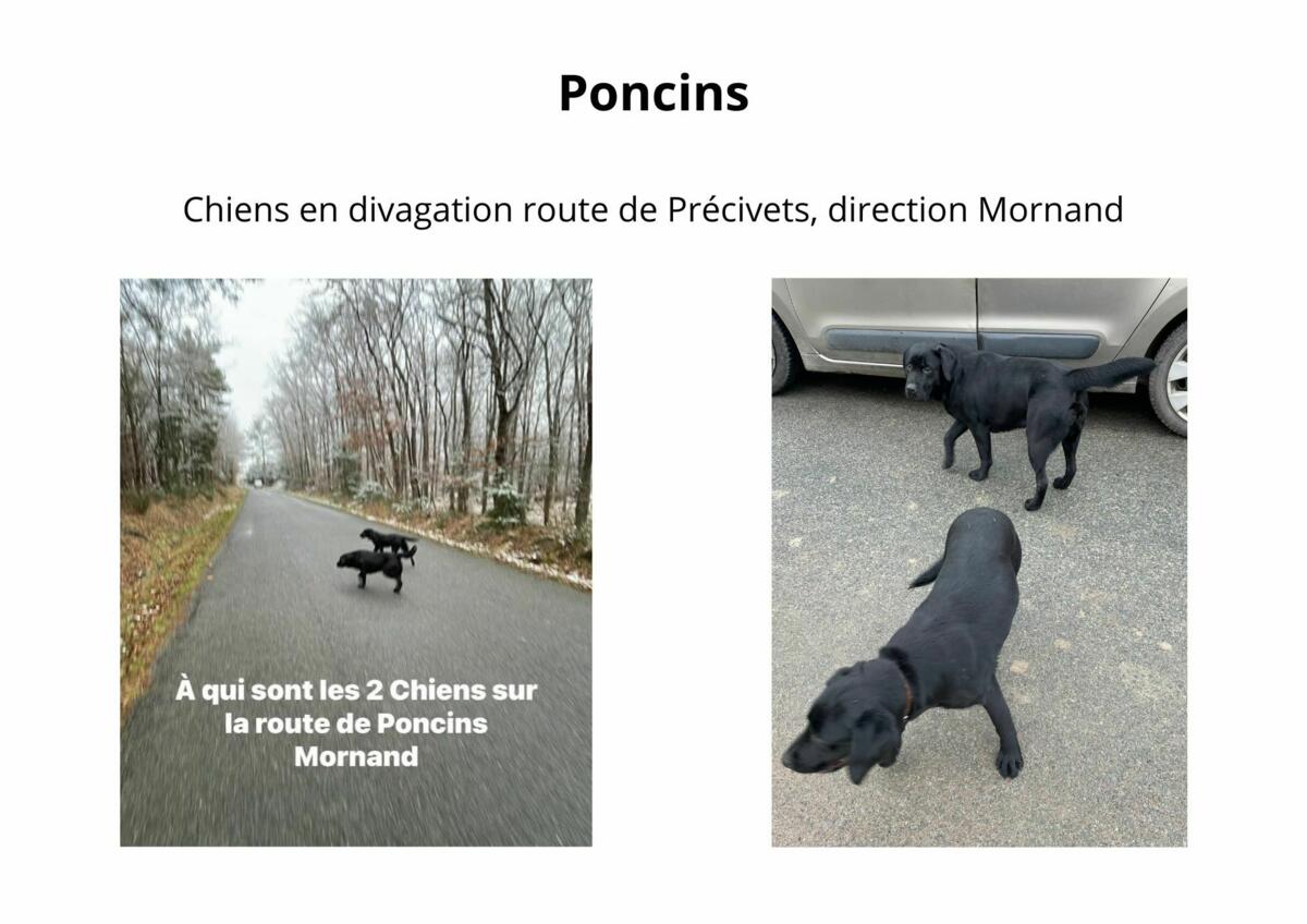 Image de l'actualité