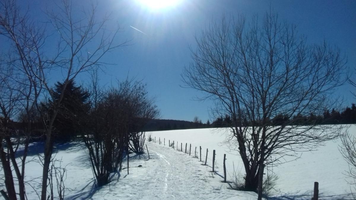 BALLADE HIVERNALE SUR LES PISTES A GIMEL BEATRICE GEOURJON