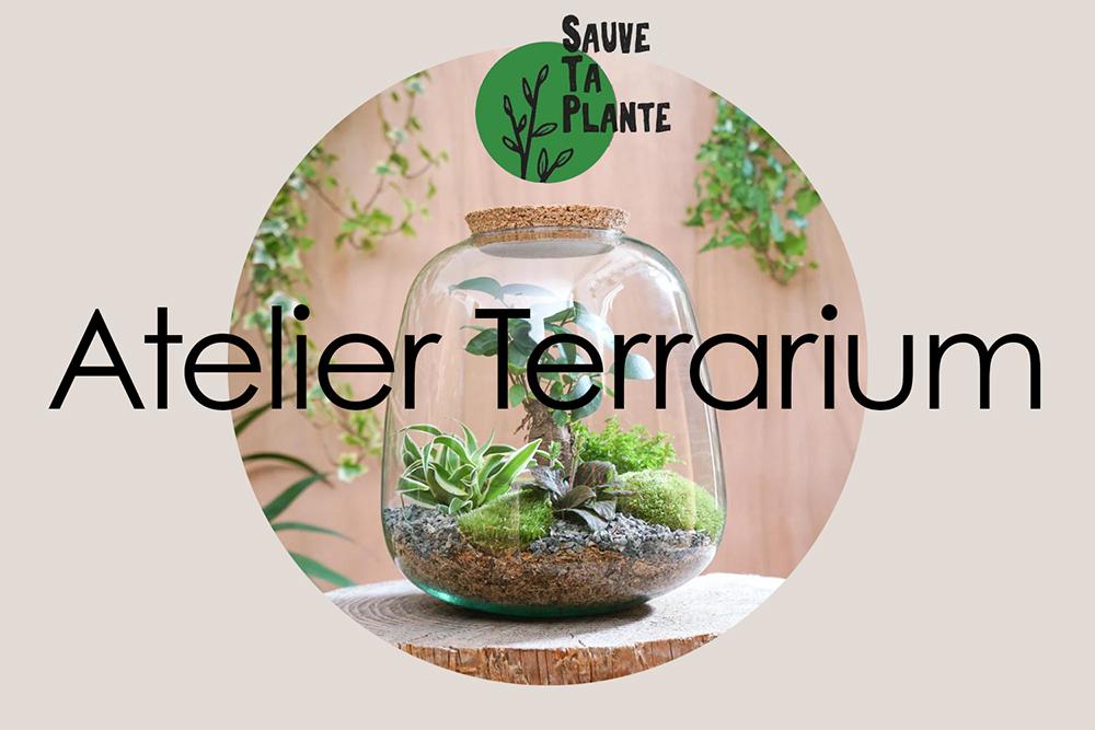 ATELIER TERRARIUM 🌱🌿