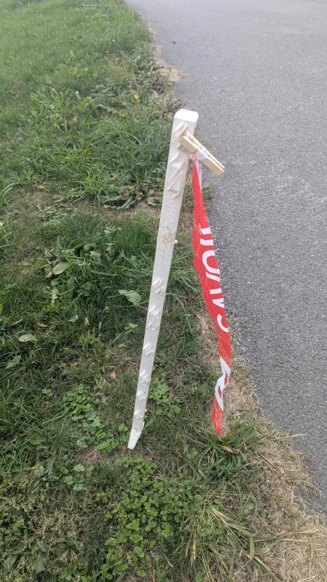 Image de l'actualité