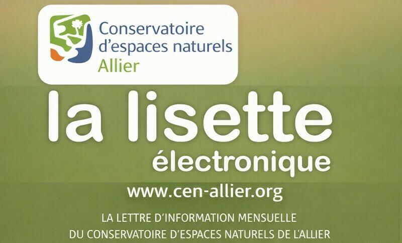 Image de l'actualité