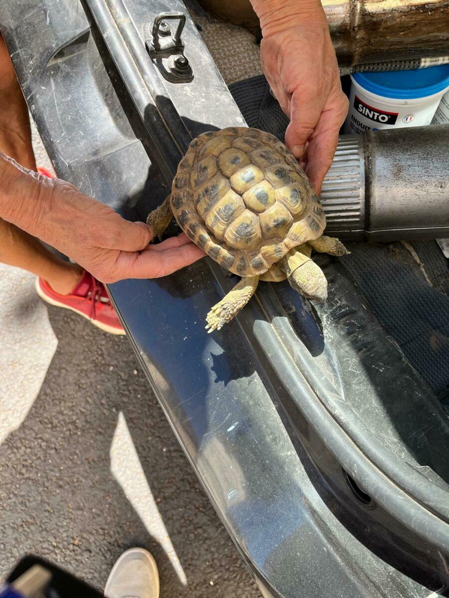 Image de l'actualité