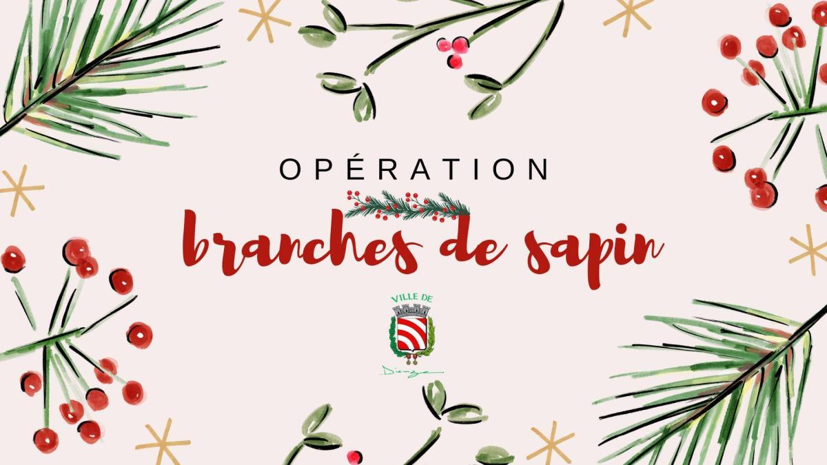 Opération branches de sapins 🎄 🎅🏻