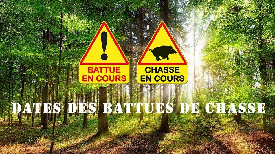 📣Calendrier CHASSE - BATTUES saison 2024/2025🦌📅🐗