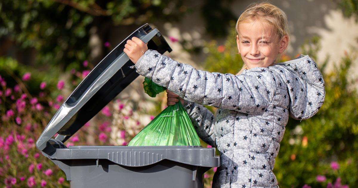 Collecte de déchets : samedi 2 novembre 2024