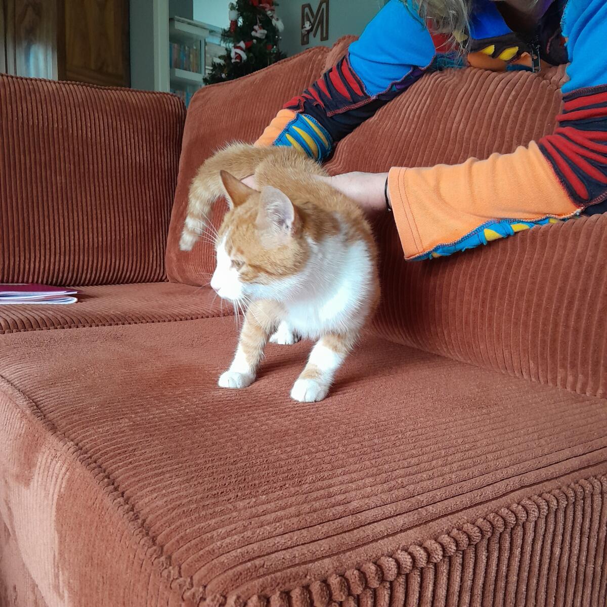 Image de l'actualité