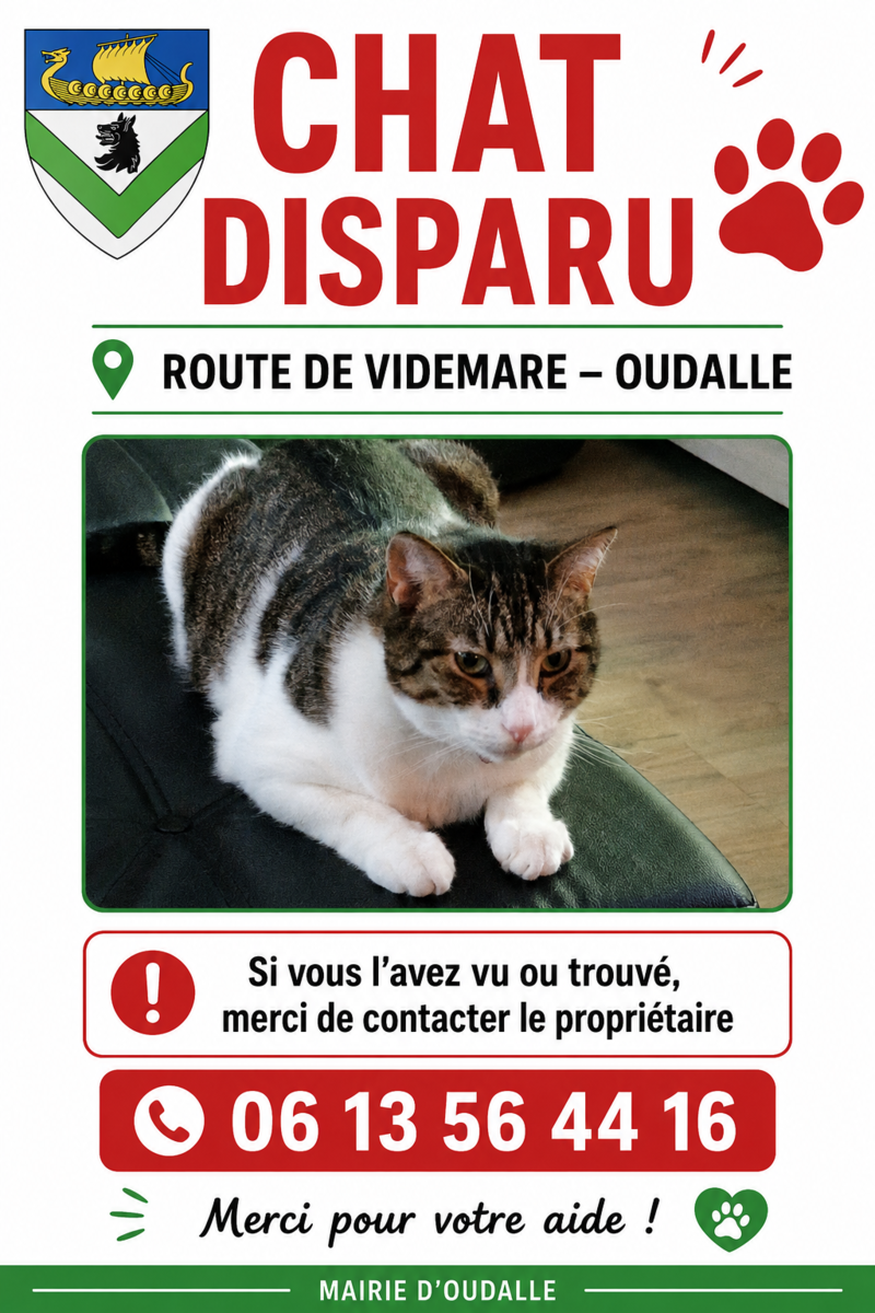 Image de l'actualité
