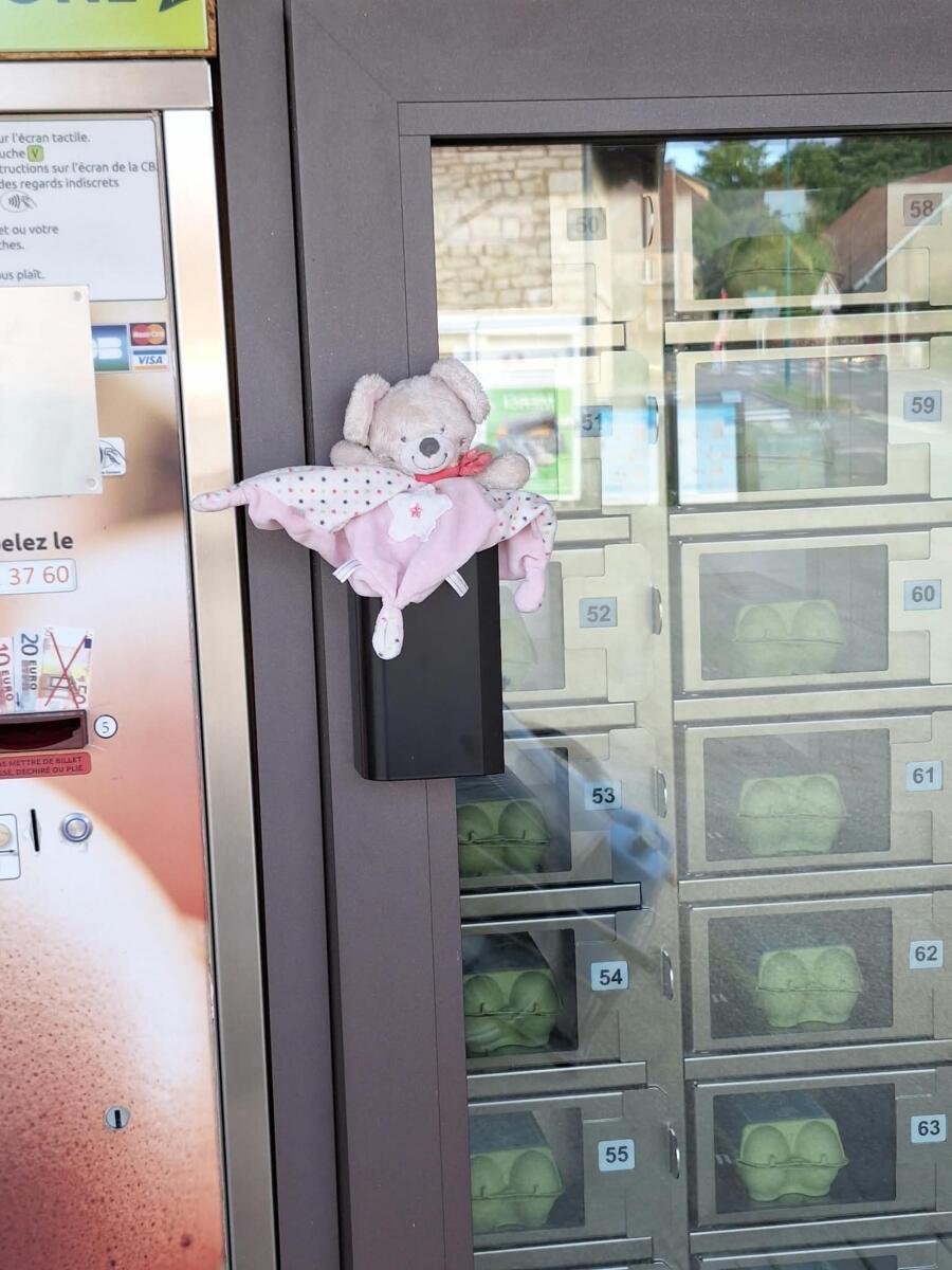 Image de l'actualité