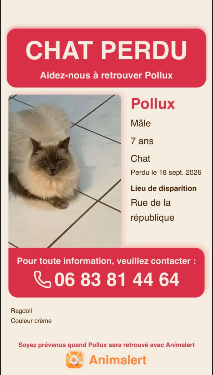 Image de l'actualité