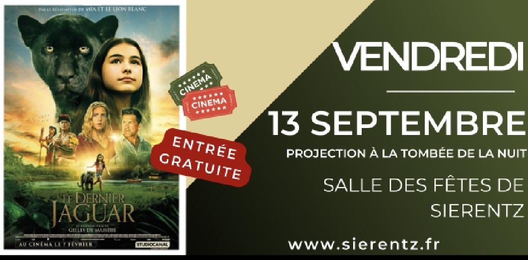 Cinéma ce soir / entrée libre pour tous!