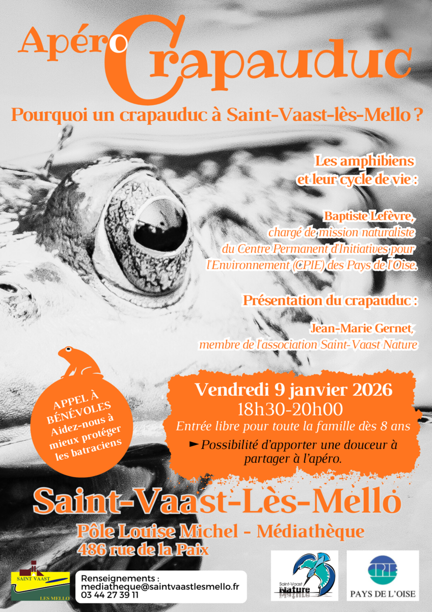 Image de l'actualité