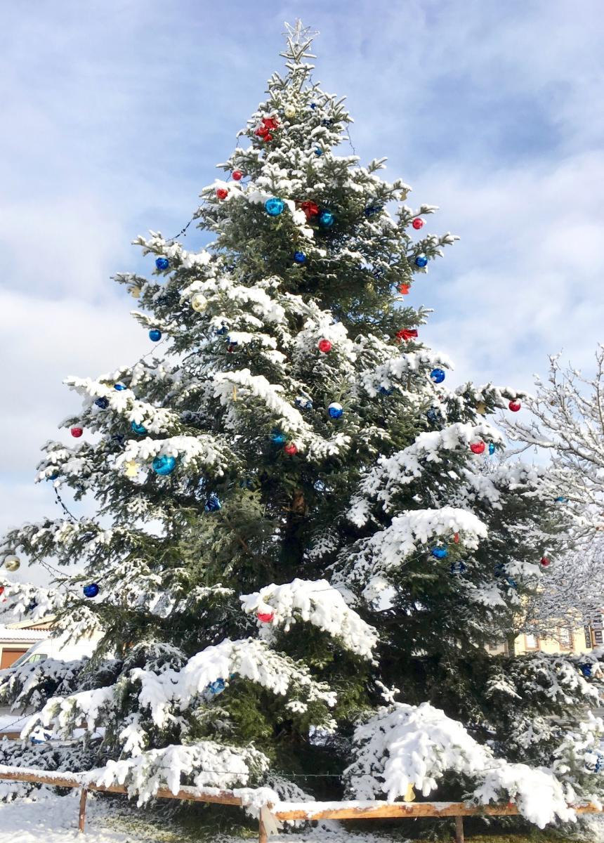 La commune est à la recherche de son sapin de Noël