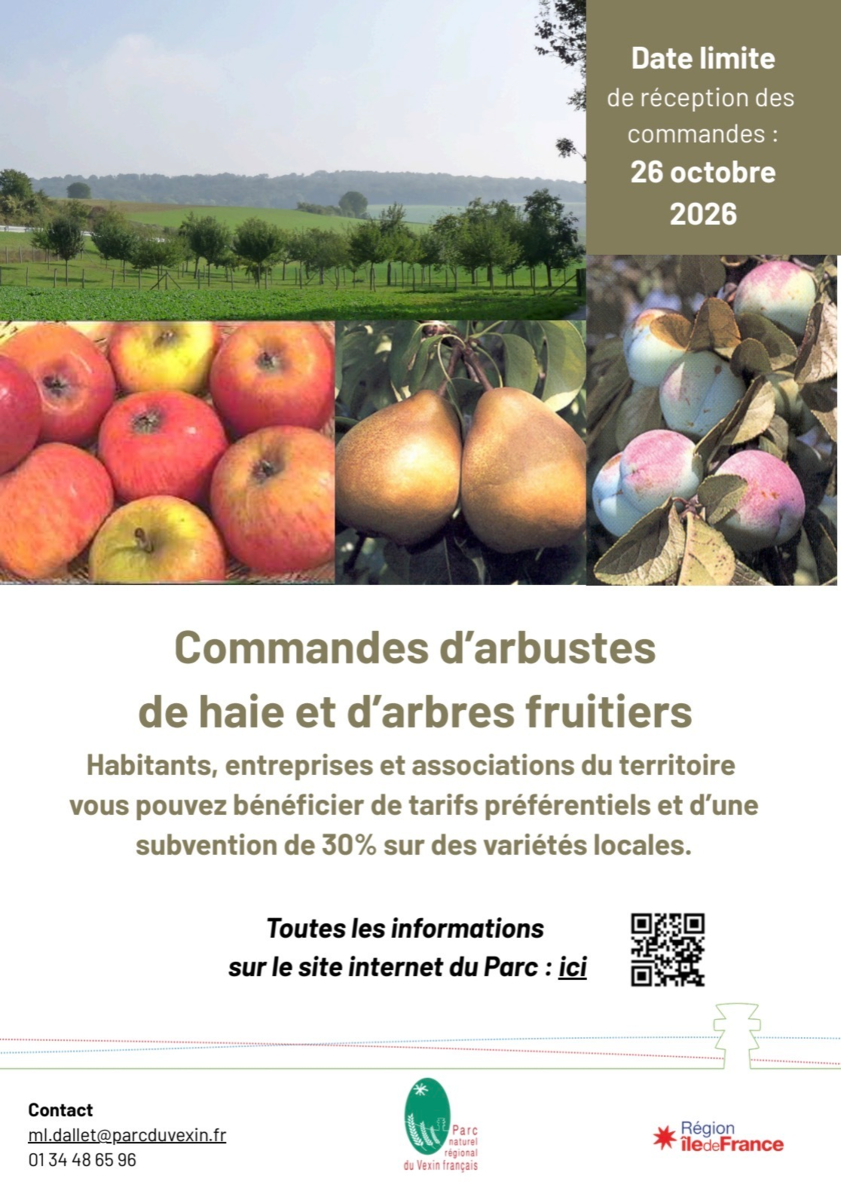 Image de l'actualité