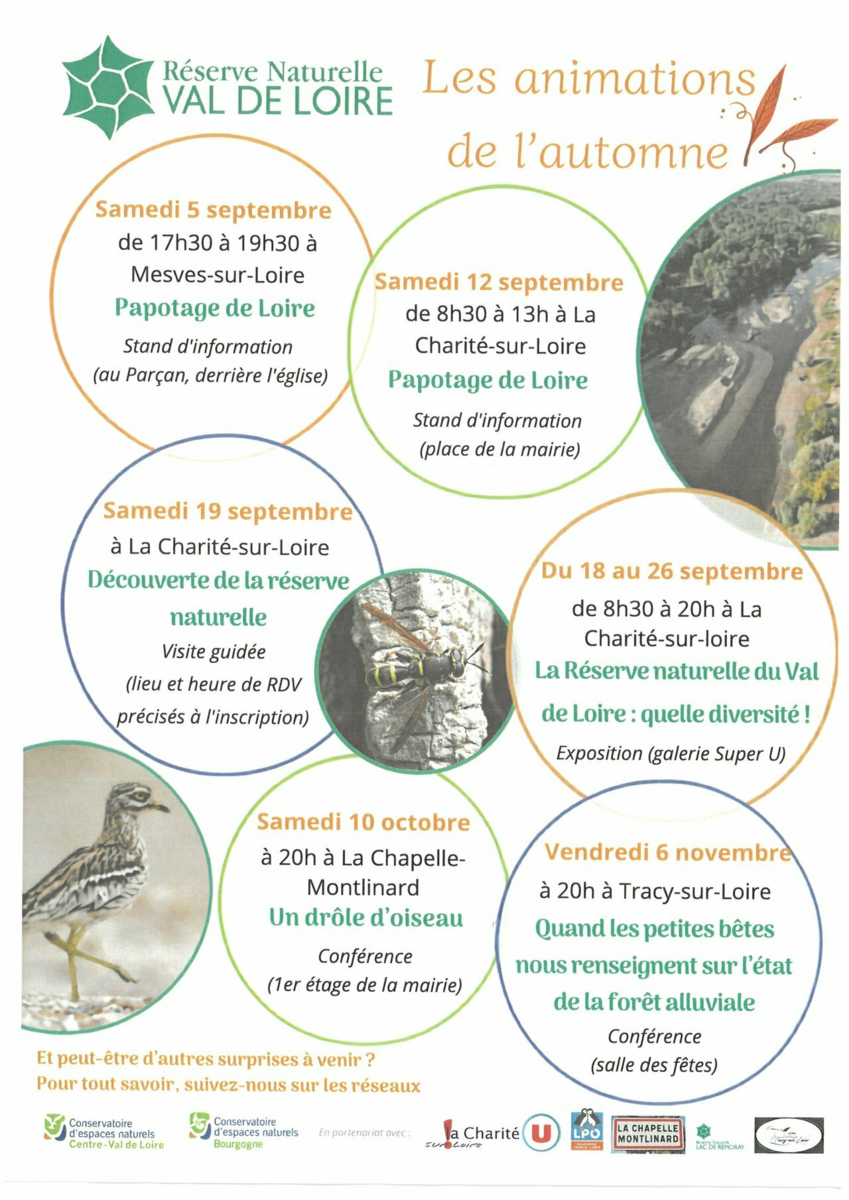 Image de l'actualité