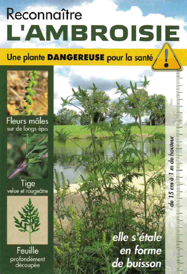 Image de l'actualité