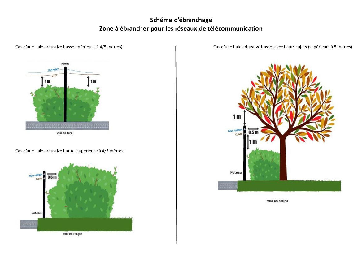 Image de l'actualité