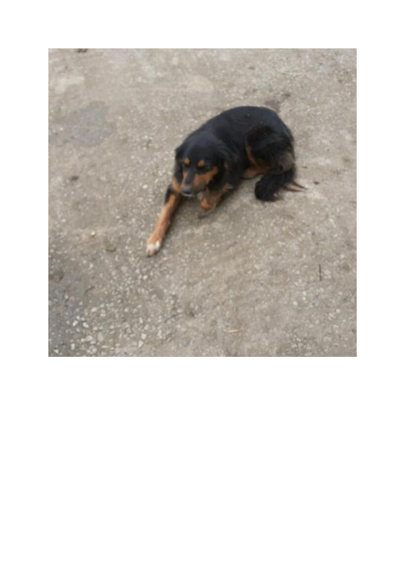 Image de l'actualité