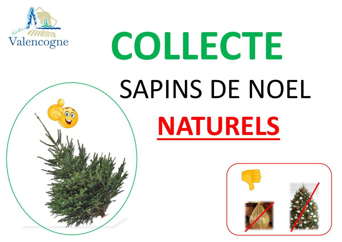 Image de l'actualité