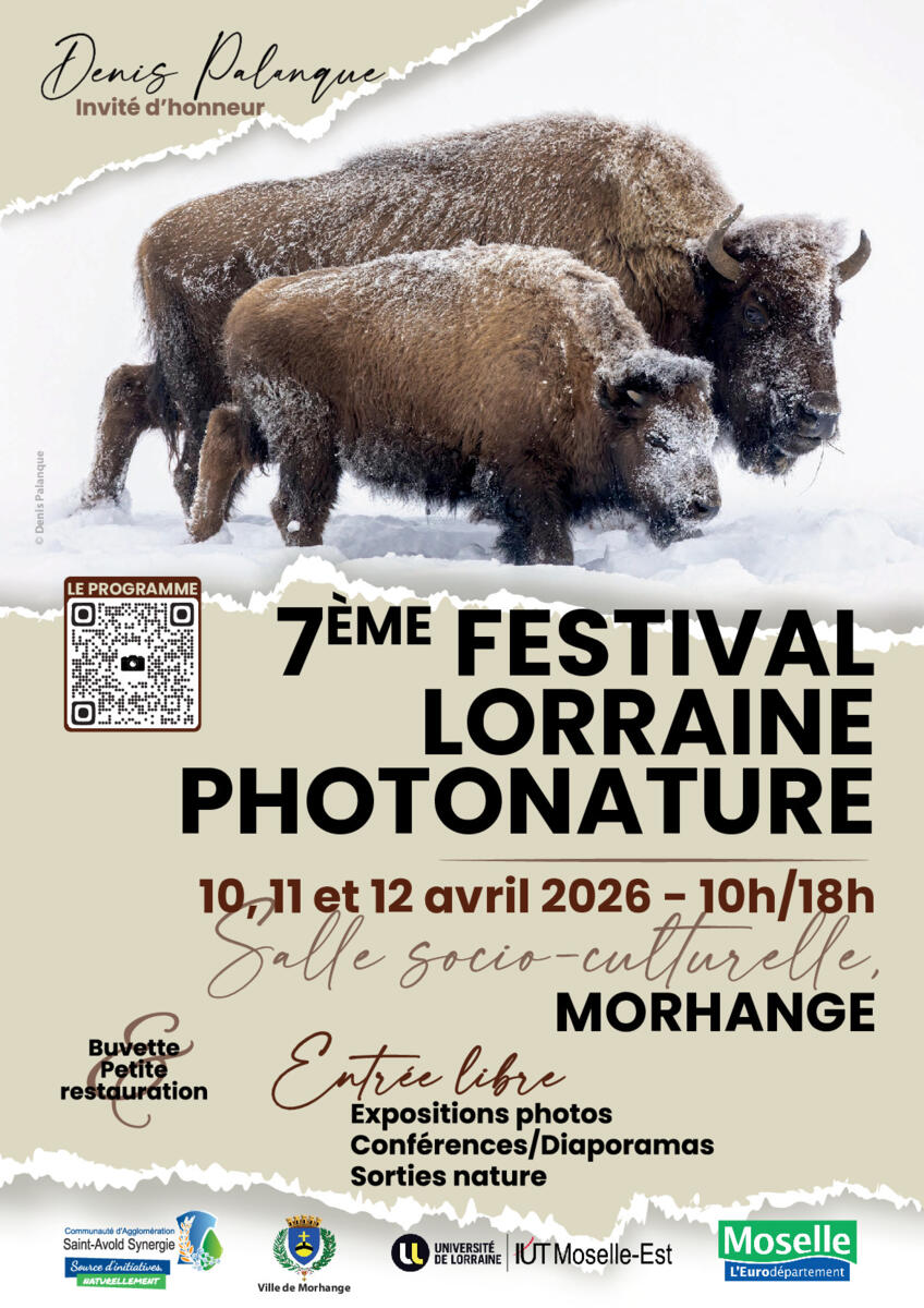 Image de l'actualité