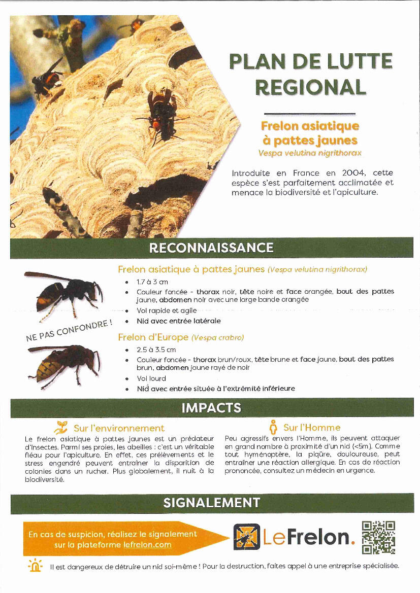 Image de l'actualité