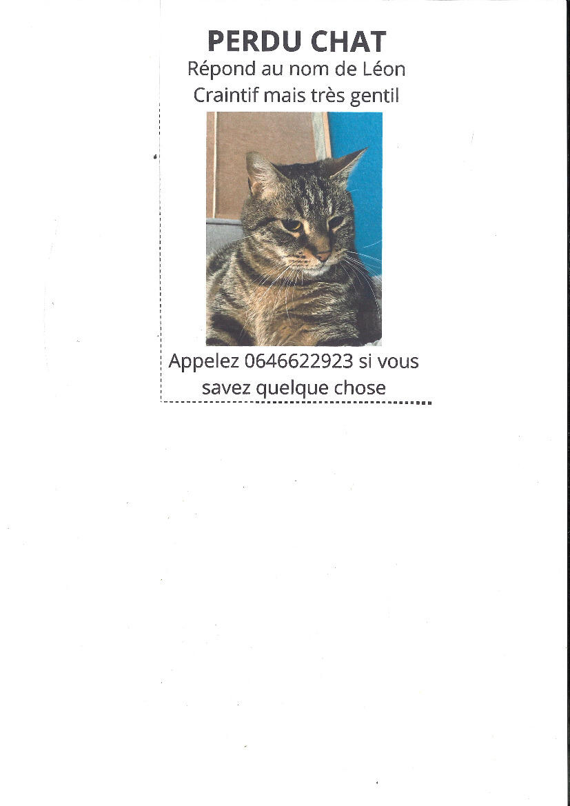 Image de l'actualité