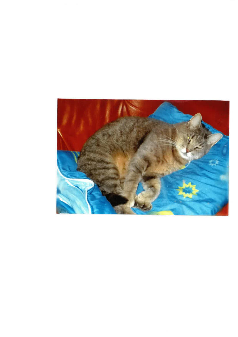 Image de l'actualité