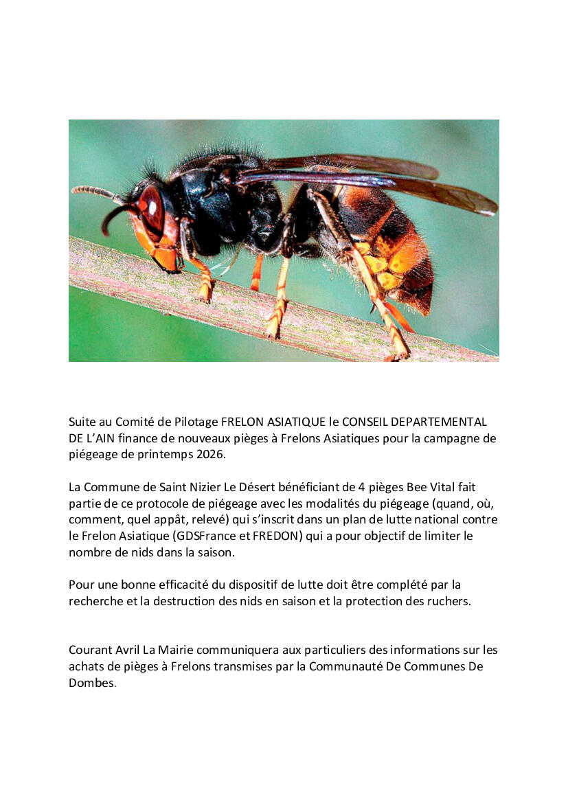 Image de l'actualité