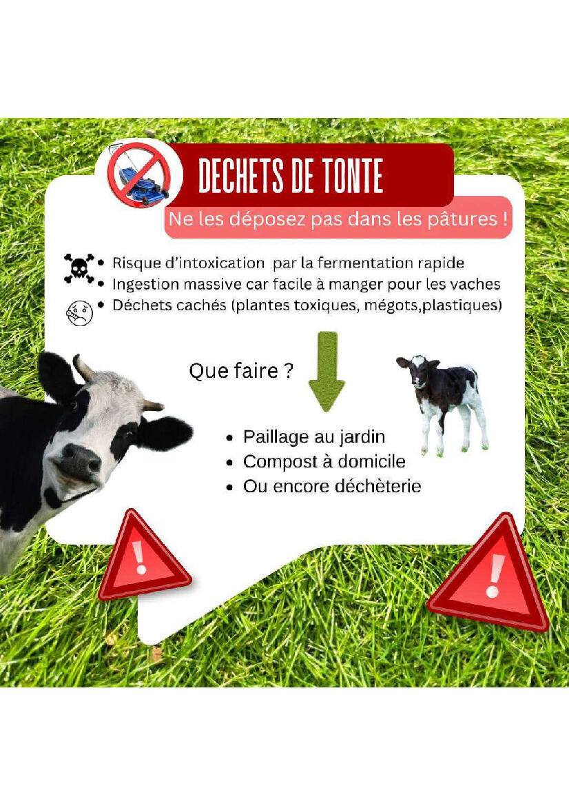 Image de l'actualité