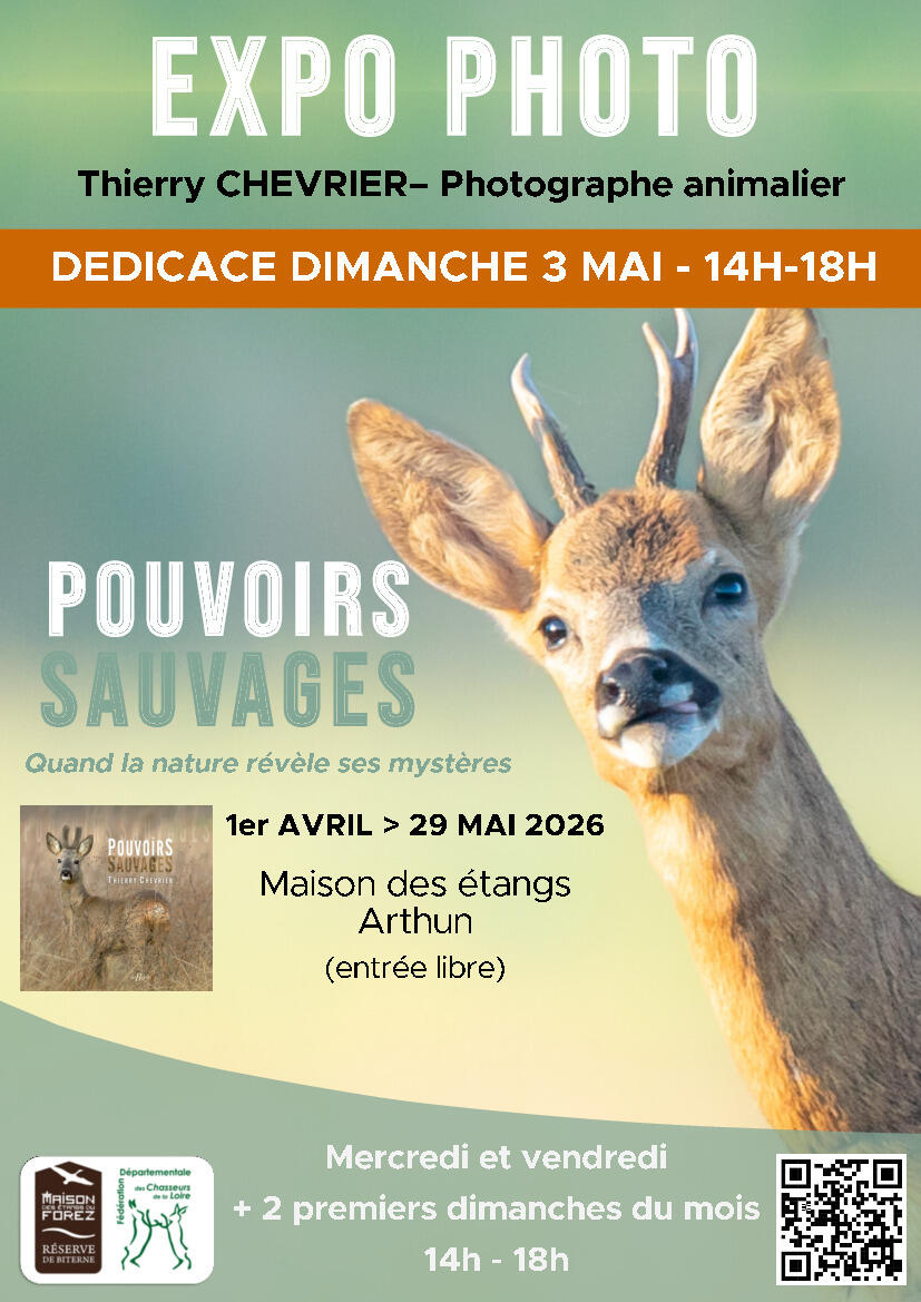 Image de l'actualité