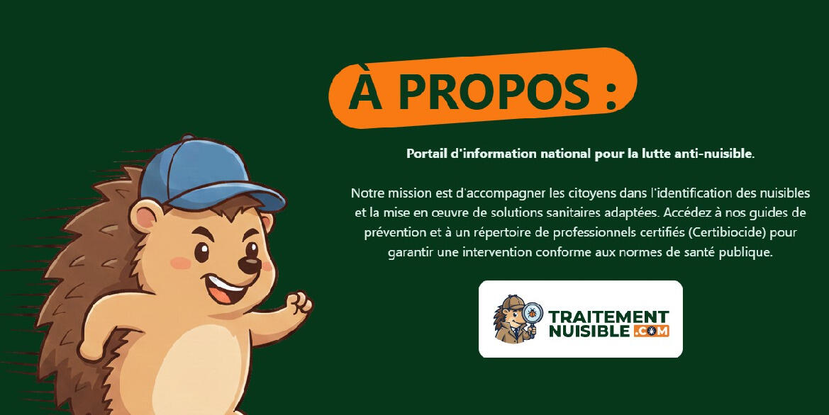 Image de l'actualité