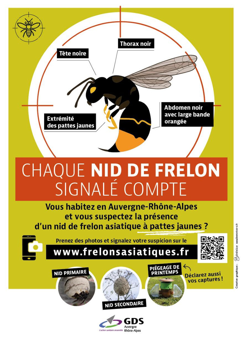 Image de l'actualité