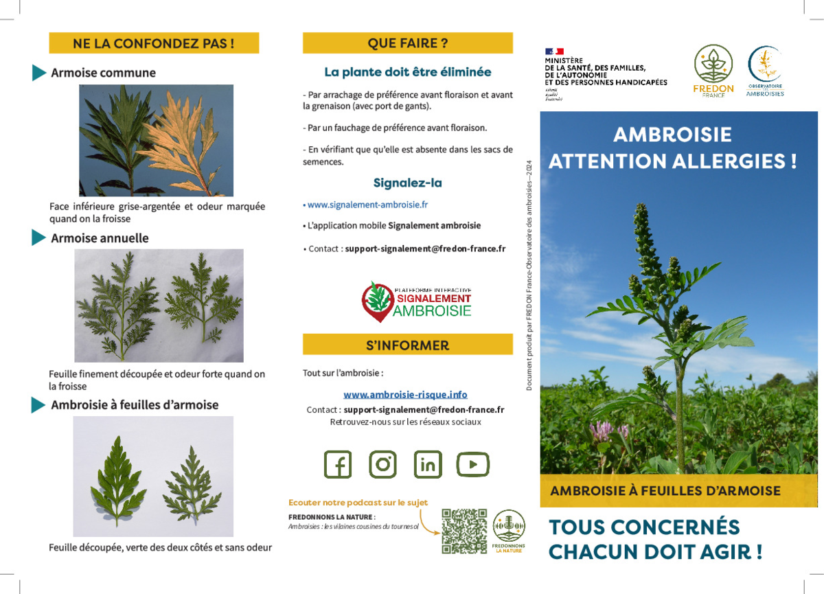 Image de l'actualité