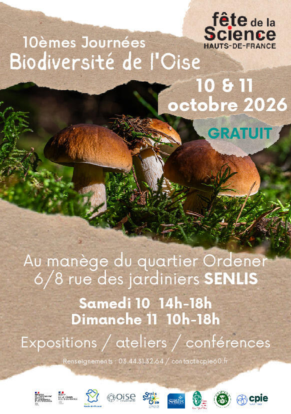Image de l'actualité
