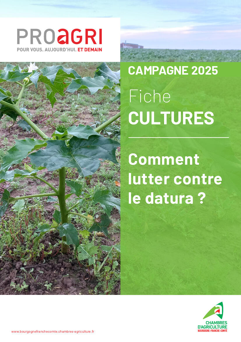 Image de l'actualité