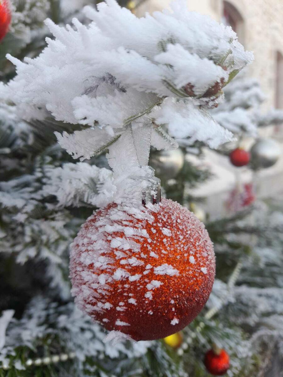 Image de l'actualité