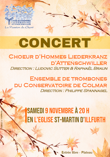 Concert ILLFURTH samedi 9 novembre à 20h00