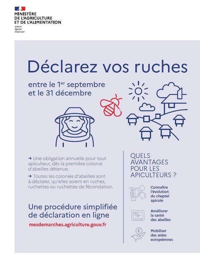Image de l'actualité