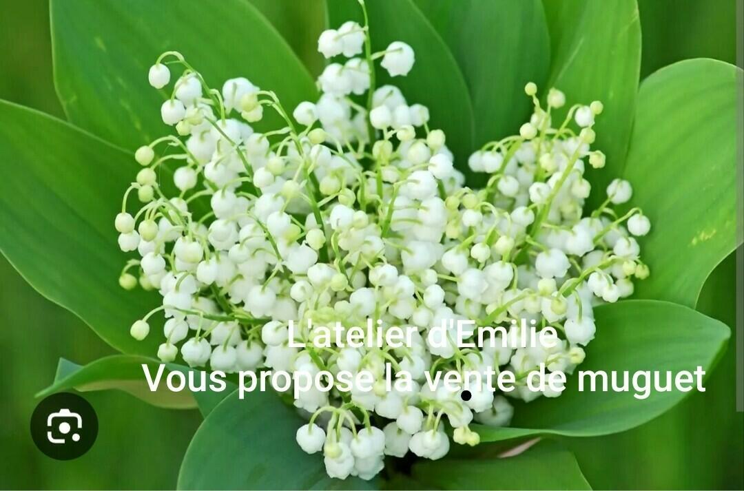 Image de l'actualité