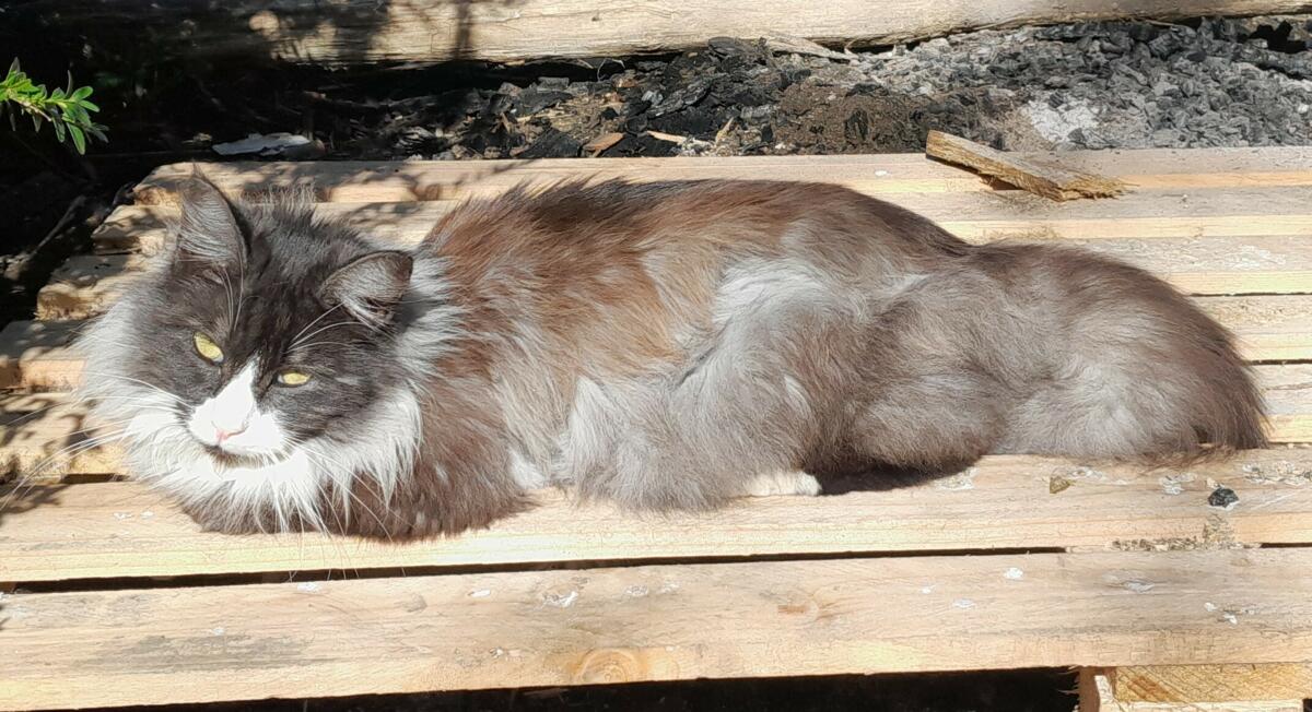 Image de l'actualité