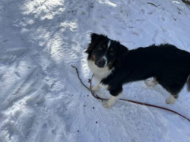 Image de l'actualité