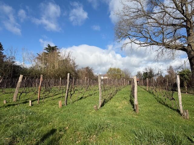 Image de l'actualité