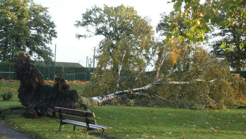 Image de l'actualité