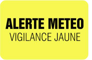 Vigilance Jaune VENT