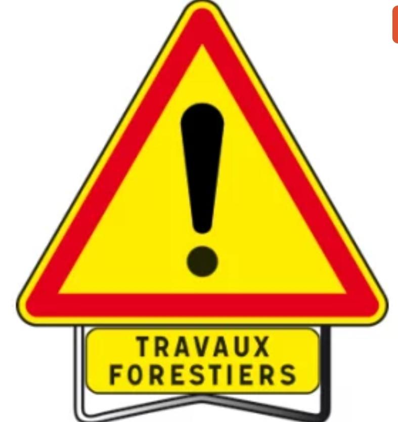 Travaux forestier