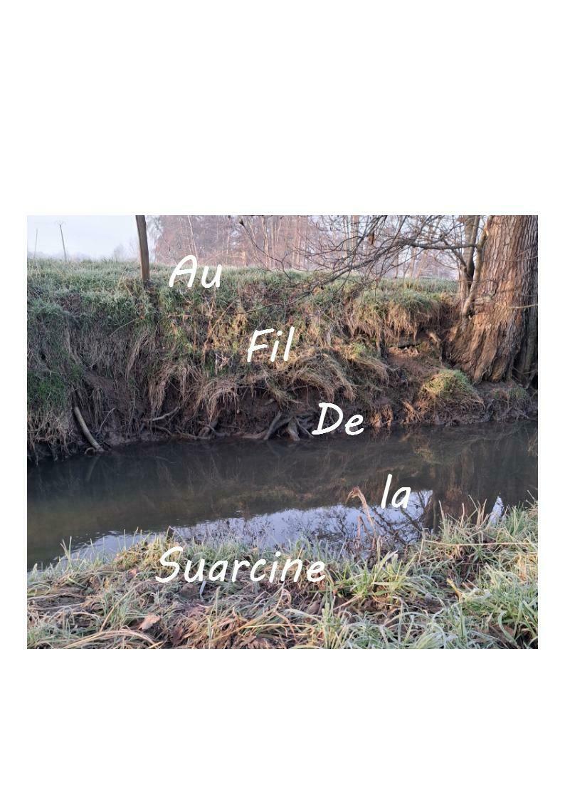 Image de l'actualité